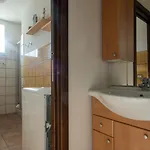 Apartment Fiorini 4